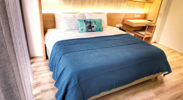 Двухместный номер Standard Doris Home