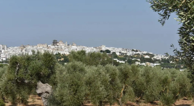 Двухместный номер Superior с видом на сад Masseria Montecchie