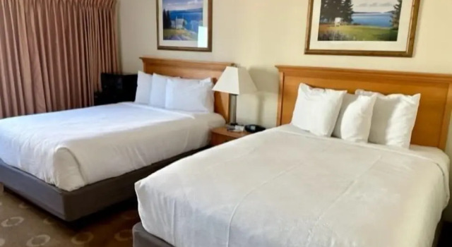 Номер Deluxe Safari Hotel Boardwalk