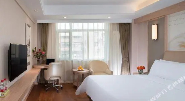Двухместный люкс Deluxe Vienna International Hotel (Beijing Qingyuan Road Metro Station)