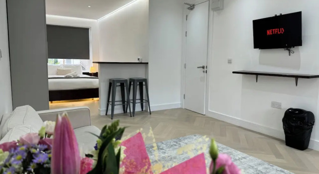 Люкс Luxury с видом на город Luxurious London Studios