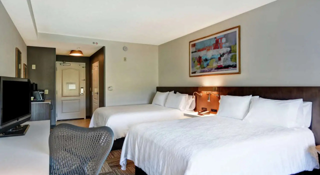 Номер Standard Hilton Garden Inn Mobile East Bay / Daphne