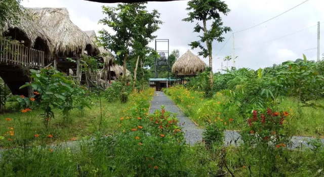 Номер Deluxe Sunny Field Eco Stilt House