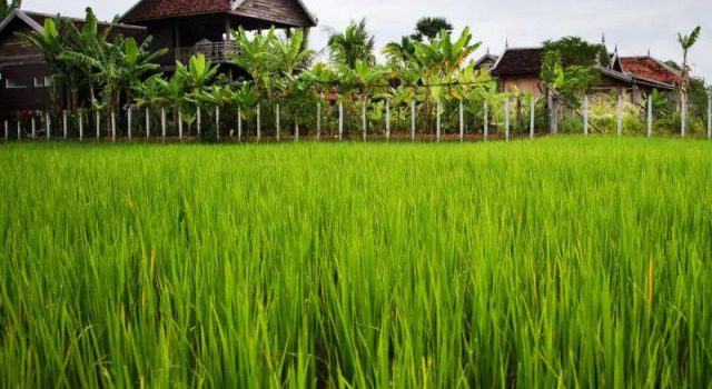 Двухместный люкс Angkor Rural Boutique Resort