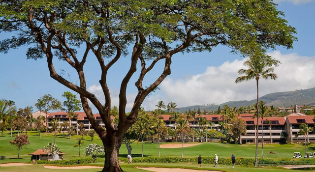 Whaler at Kaanapali Beach 370