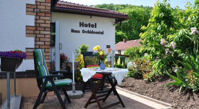 Одноместный номер Standard с видом на горы Hotel Haus Orchideental Jena