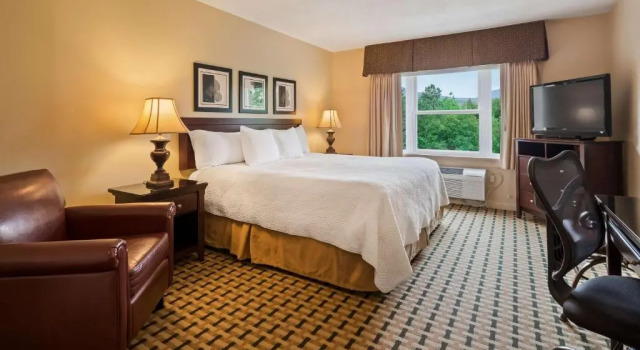 Номер Standard Silver Fox Inn