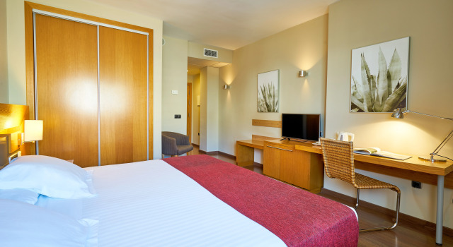 Hotel Guadalmedina