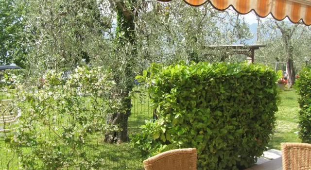 Номер Standard с балконом Residence Villa Margherita