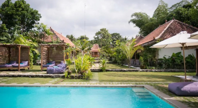 Номер Deluxe Blauwtuin Yogyakarta