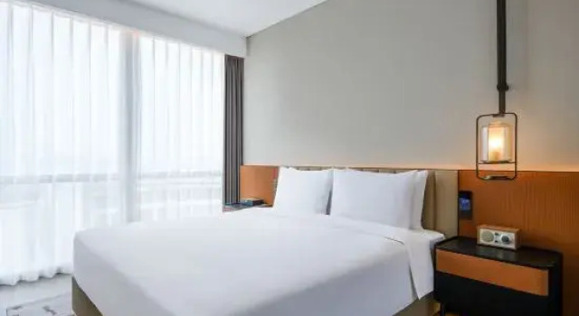 Люкс MUMIAN SHANGHAI EXPO, The Unbound Collection by Hyatt