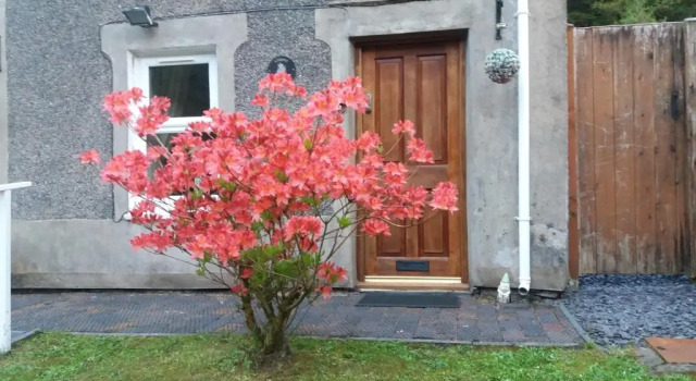 Llugwy Cottage, Book Feriehus Sommerhuse i Snowdonia, Hytte