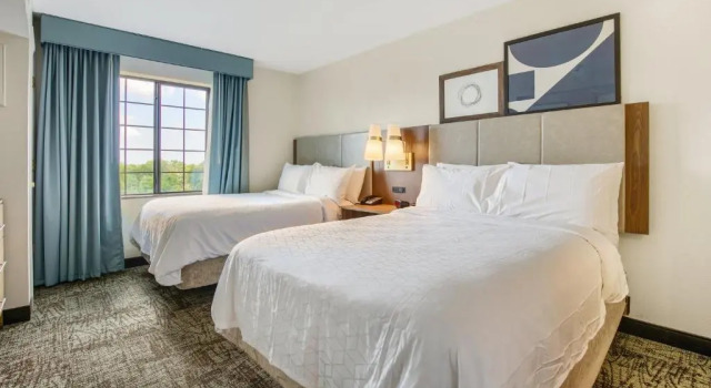 Люкс c 1 комнатой Staybridge Suites Gulf Shores by IHG