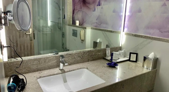 Двухместный номер Deluxe с видом на город Vivanta Vadodara