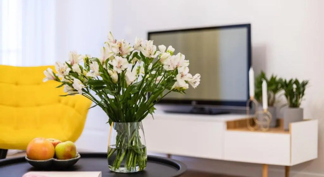 Апартаменты с 2 комнатами VIDOC APARTMENTS