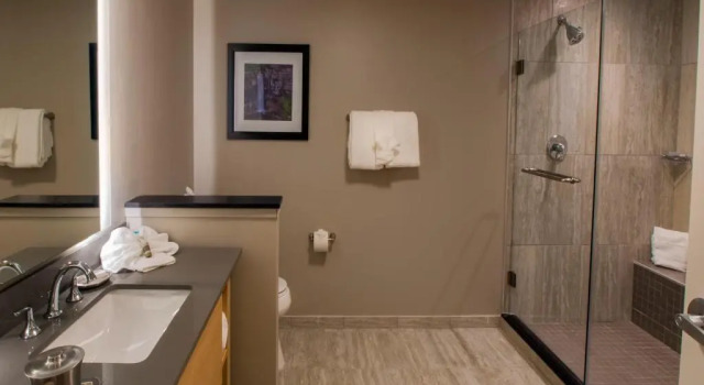 Номер Superior Hotel Ithaca