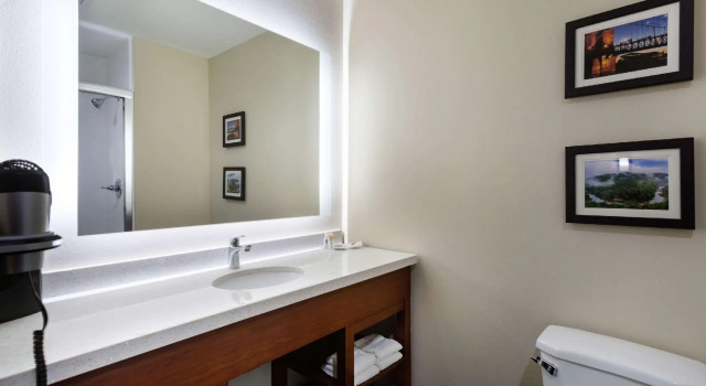 Двухместный люкс Comfort Suites Bowling Green Southeast