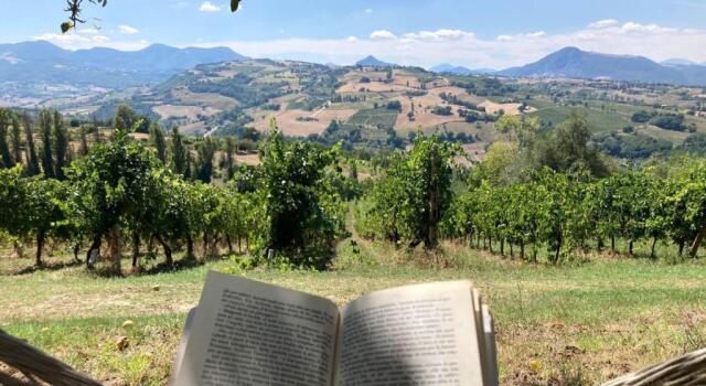 Villa Verdicchio - B&B with wellness for winelovers, Book Bed and Breakfast SPA-hoteller i Romagna, SPA