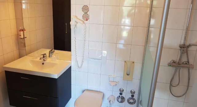 Номер Royal Vakantiehotel Der Brabander Apartments