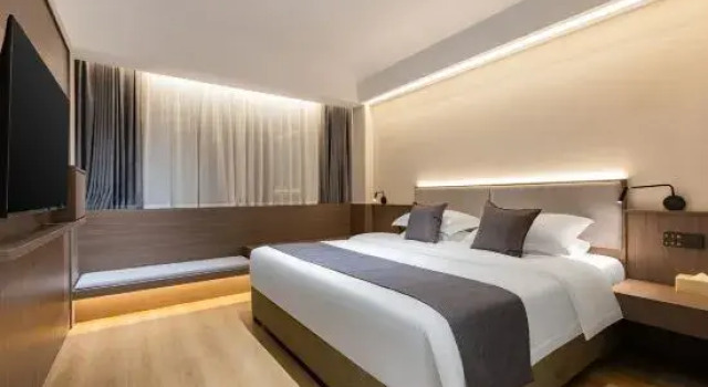 Люкс Business WUJIA Hotel