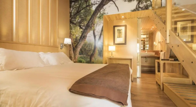 Номер Standard Дуплекс Hotel Casa Cornel