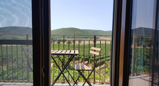 Номер Deluxe Poggiolivi Agriturismo Bio in Maremma