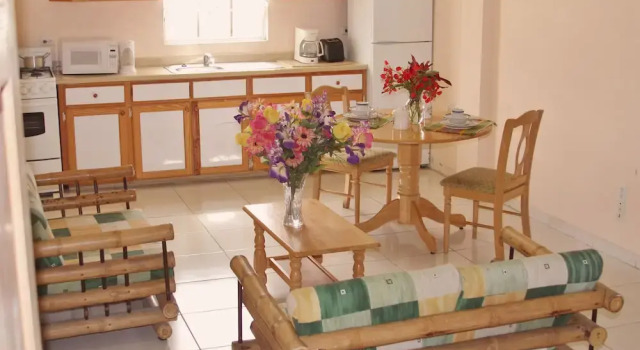 Двухместный номер Premium Дуплекс Caribbean Holiday Apartments
