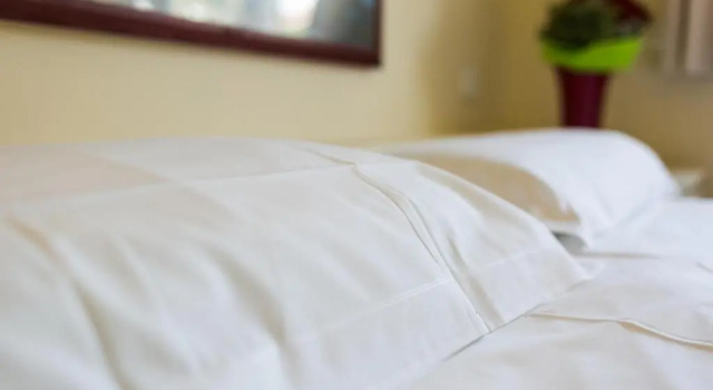 Номер Standard Rex Hotel Residence