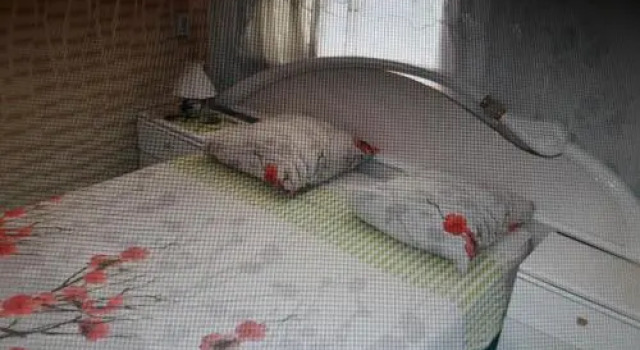 Guesthouse Nadezhda