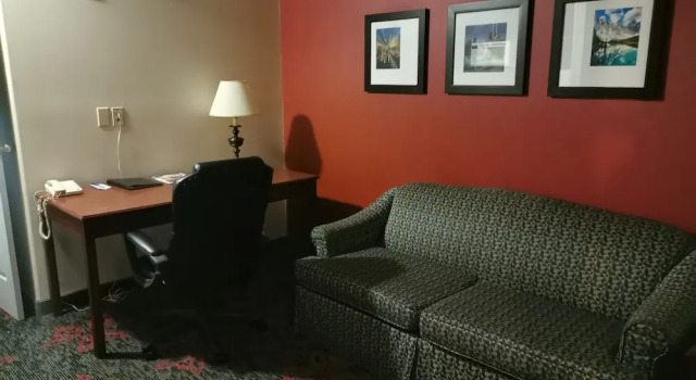 Двухместный люкс Standard Comfort Inn & Suites University