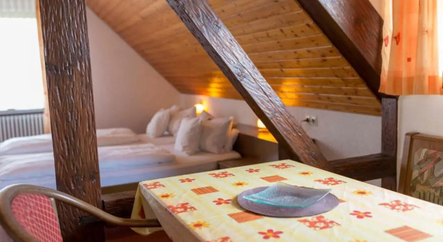 Номер Standard Pension Panoramablick