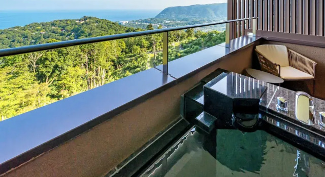 Двухместный номер Deluxe Izu Hotel Resort & Spa