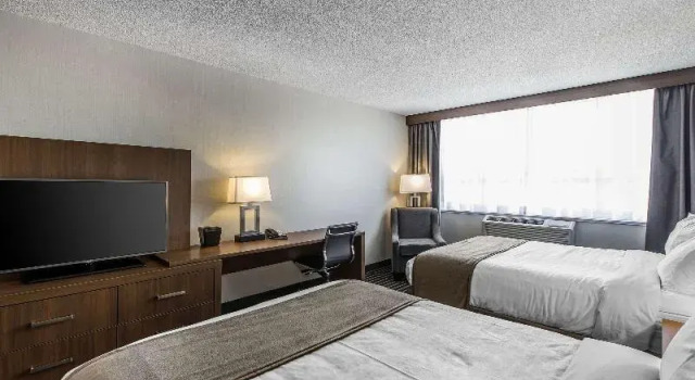 Номер Standard Quality Inn