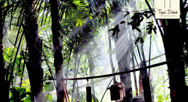 Tegal Dukuh Camp, Rezervovat Kemp Wellness hotely v Bali, SPA