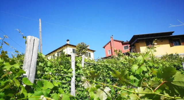 Коттедж Tenuta MonteOliveto - Romantic Cottage - Agriturismo nelle Langhe