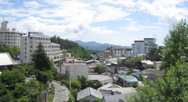 Номер Deluxe Kusatsu Hot Spa Hotel SPAX