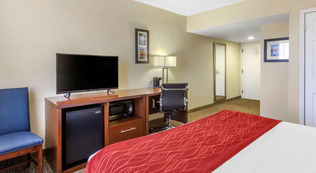 Двухместный номер Comfort Inn St Petersburg North