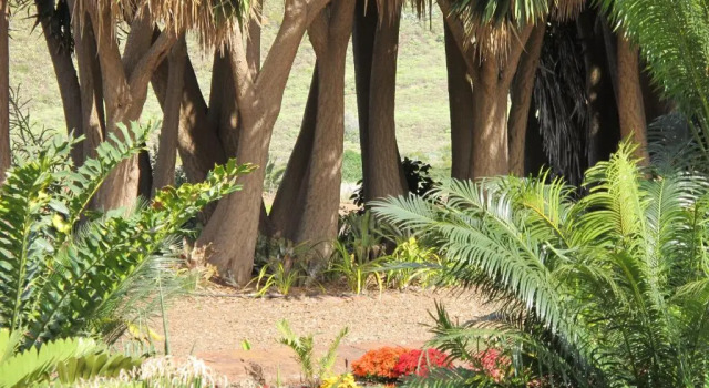 Коттедж Superior Haciendas del Valle - Las Kentias