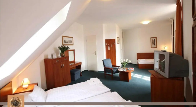 Трёхместный номер Standard Hotel Főnix