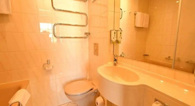 Люкс Standard Landhotel Altes Zollhaus