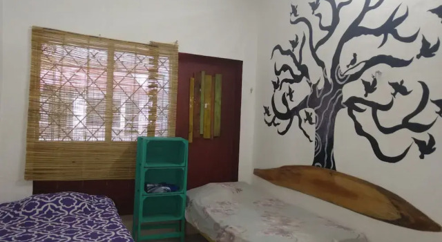 Кровать в общем номере Casa Hostal Mamey - Hostel