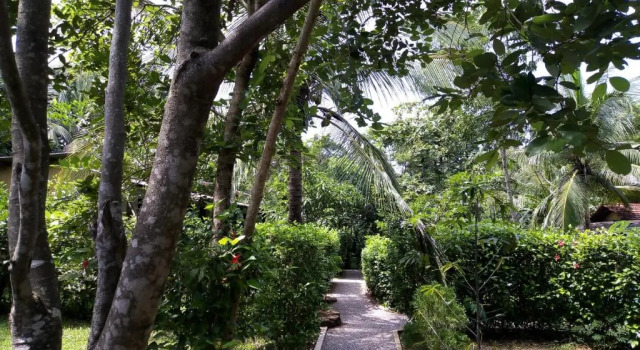 Sigiri Charuka Resort
