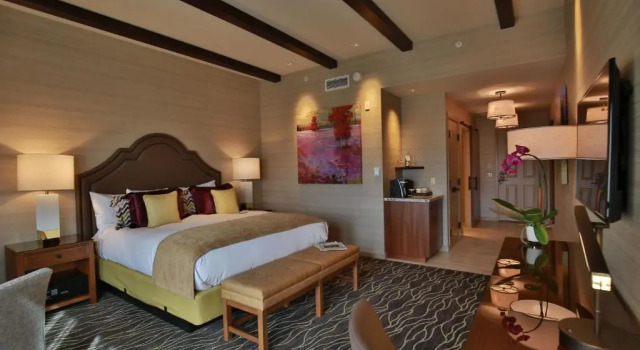 Одноместный номер Standard Vinarosa Resort & Spa