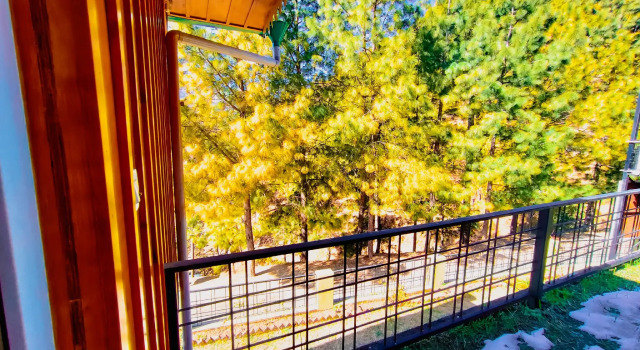 The Himalayan Living Whistling Pines