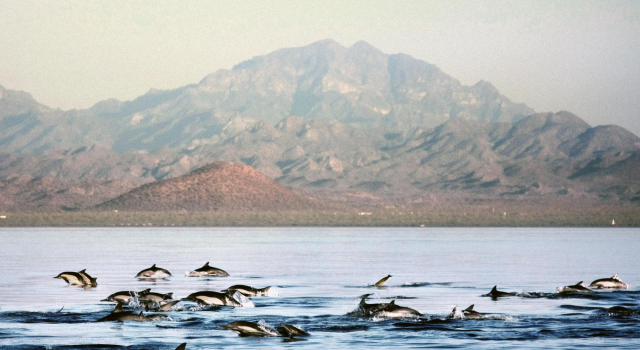 Inn at Loreto Bay, Prenota Hotel Nopolo Baja California Sur