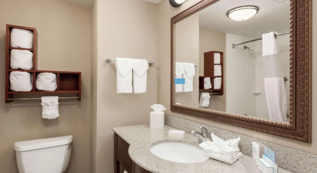 Четырёхместный номер Standard Hampton Inn Branson - Branson Hills