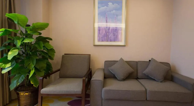 Двухместный люкс Deluxe с видом на улицу Lavande Hotel Qijiang High-speed Railway Station