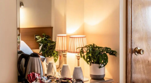 Двухместный номер Standard Holiday Hotel