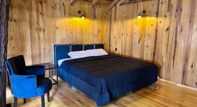 Superior Zimmer PINE TREE Hotel Boutique & Cabañas