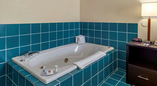 Двухместный люкс Comfort Inn & Suites Warsaw near US-30